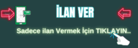 Van escort ilan VER